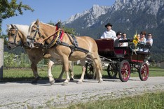 Foto-Leitner_HochzeitReportage043.jpg