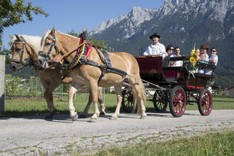 Foto-Leitner_HochzeitReportage043.jpg